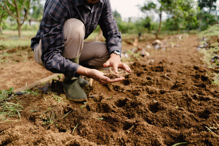 A farmer closely observing soil condition and type to assess whether it is healthy and ready for planting desired crops or treesの写真素材