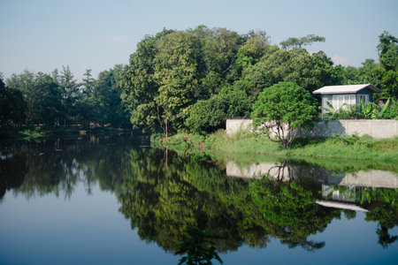 A serene lake reflects soft natural light on its calm surface, creating a peaceful and mesmerizing scene of nature's beauty.の写真素材