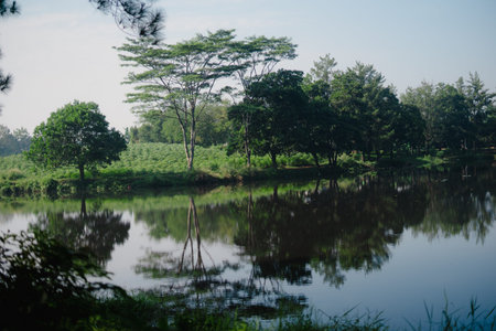 A serene lake reflects soft natural light on its calm surface, creating a peaceful and mesmerizing...