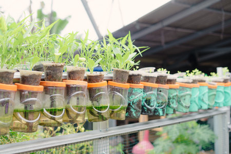 An inventive vertical garden constructed from recycled plastic bottles demonstrates environmental consciousness, encouraging sustainable home gardening. The system cultivates vibrant plants,の写真素材