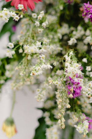 A captivating close-up shot of a floral arrangement features a symphony of colors and textures, with various blooms in soft focus creating a delicate and artistic compositionの写真素材
