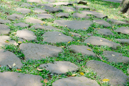 A stone pathway meanders through lush green grass, creating a serene and natural scene. The image captures the beauty of the outdoors, with a focus on texture and detail. The peaceful setting andの写真素材