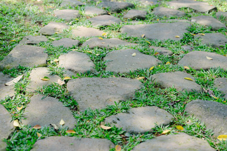 A serene natural stone pathway with grass growing between the stones creating a unique textured pattern, a perfect scene for meditation and peaceful strolls in the outdoors.の写真素材