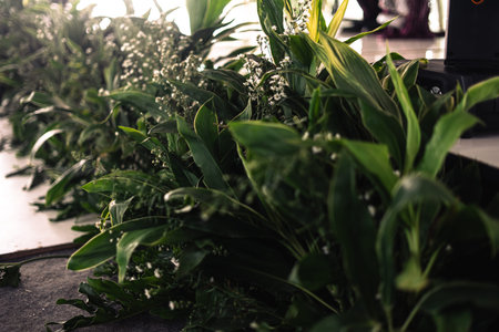 A close-up shot of an arrangement featuring lush green leaves and delicate baby's breath flowers, creating a natural and fresh scene.の写真素材