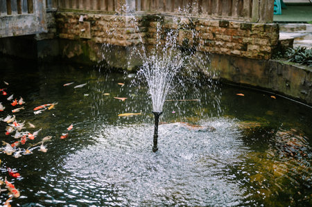 A serene garden pond features a water fountain spraying fresh drops, surrounded by colorful koi fish swimming gracefully against a stone wall background.の写真素材