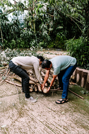 Two men are working diligently, bending down to gather cut wood branches from the ground in a vibrant green garden. This scene depicts teamwork and outdoor work.の写真素材