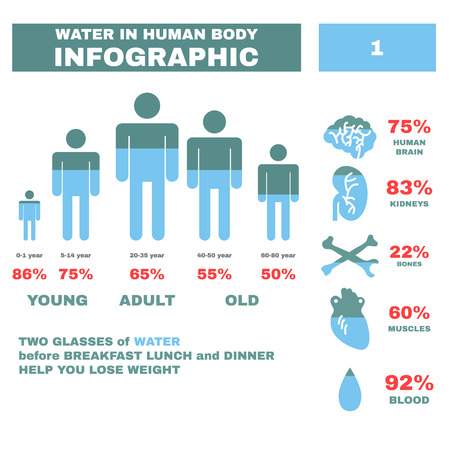 Water in Hyman body Infographic. Vector illustrationのイラスト素材