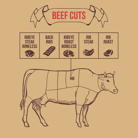 Vintage butcher cuts of beef scheme vector illustrationのイラスト素材