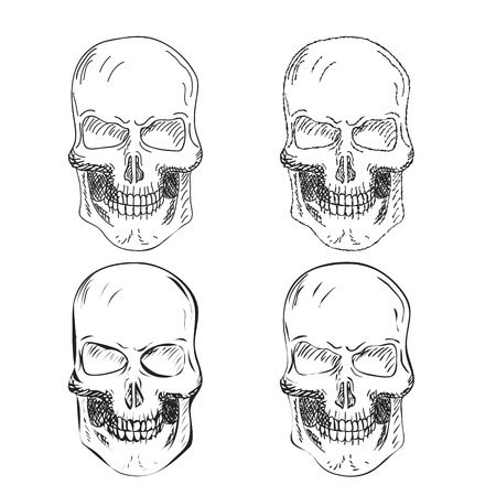 Set of four Hand Drawn Skulls Vector illustrationのイラスト素材