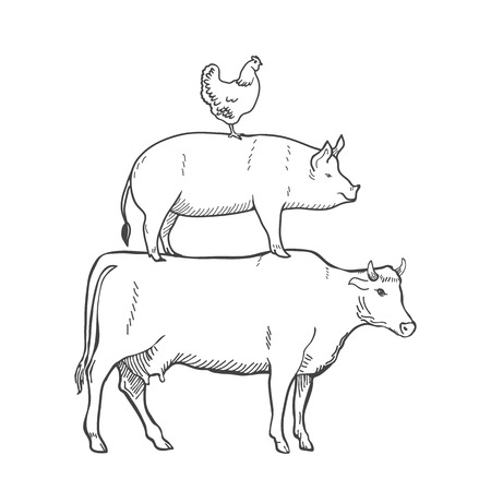 Chicken Pork Cow Farm Animals Vector illustrationのイラスト素材