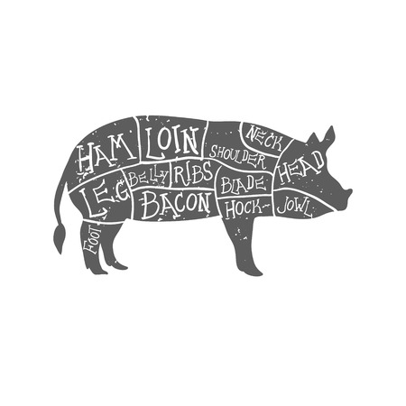 American cuts of pork, vintage typographic hand-drawn butcher cuts schemeの写真素材