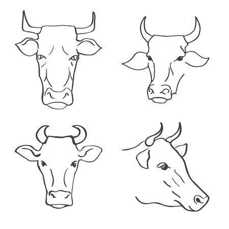 Set of Hand Drawn Cow Heads Vector Illustrationのイラスト素材