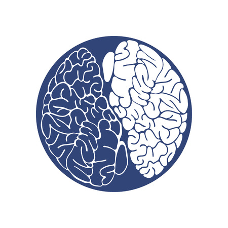 Sketch Ink Human Brain, hand drawn ,Anatomical illustration. Vector illustrationのイラスト素材