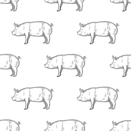 Pig pattern.のイラスト素材