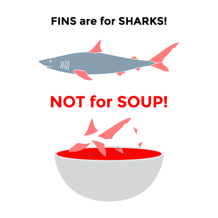 Hand Drawn Shark with Red Fins and Cup of Soup. Stop Finning Poster. Vector illustrationのイラスト素材