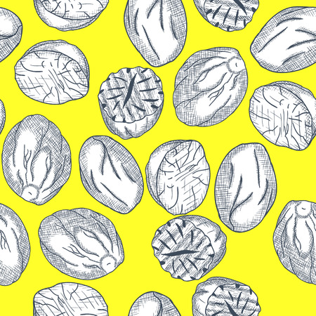 Hand Drawn Nutmeg Seamless Pattern Engrave Sketch. Vector illustrationのイラスト素材