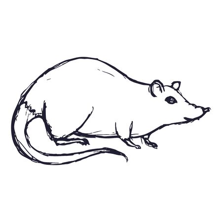 Rat or Mouse Hand Drawn on white background. Vectorのイラスト素材