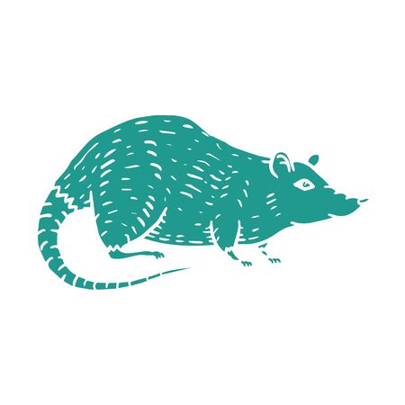 Rat or Mouse Hand Drawn on white background. Vectorのイラスト素材