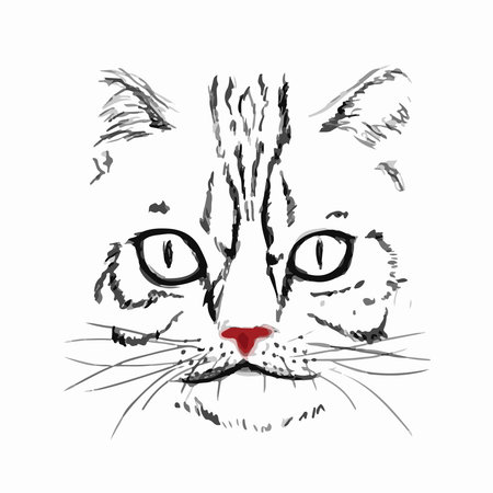 Hand Drawn Cat Face. Cat Head. Vector illustrationのイラスト素材
