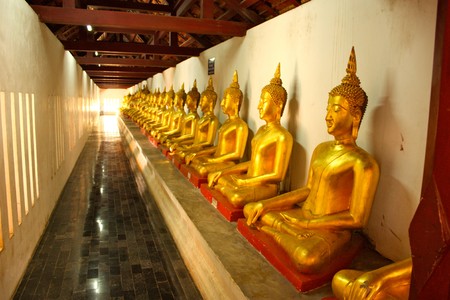 row of Buddha in thailandの写真素材