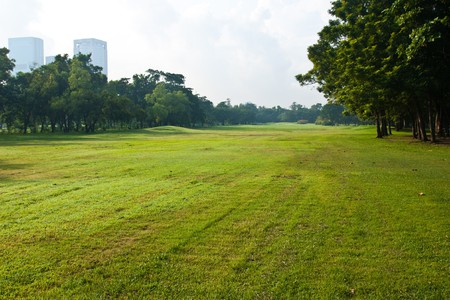 Green lawn near the big cities.の写真素材