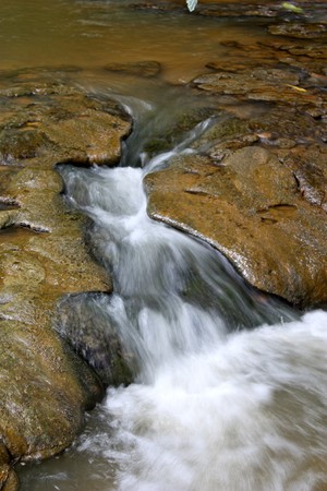 Water flow in the middle of the forest streams.の写真素材