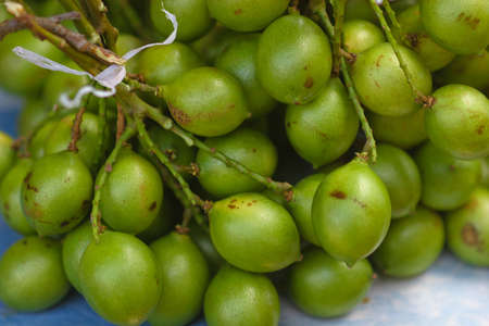 A bundle of green fruit.の写真素材