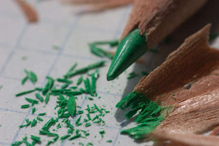 green pencil up-closeの写真素材