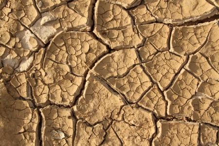 Dry ground at rice field の写真素材