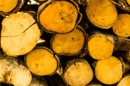 firewoodの写真素材