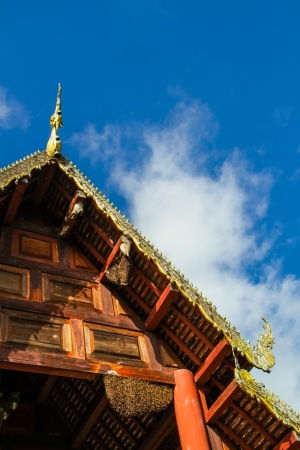 Bee nest at wooden temple at Pai of Mae hong son Thailandの写真素材