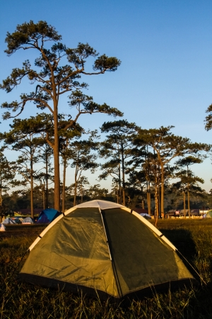 green tent on top of Phu kra dueng mountain Thailandの写真素材