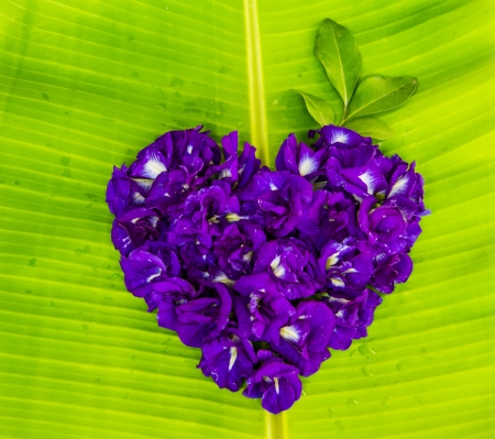 asian pigeon wing on green banana leafの写真素材