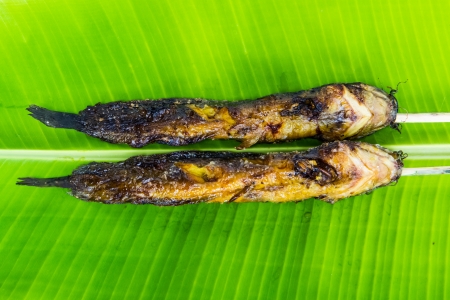 cat fish grill on green banana leafの写真素材