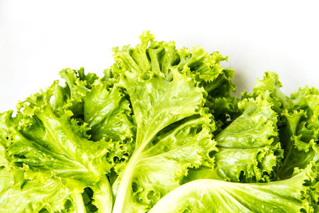 green fresh lettuce on white background ready for cooking