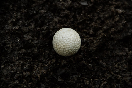 white golf on black burn sediment  background