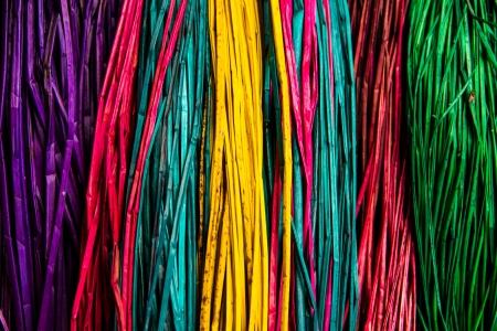 Colorful papyrus dyeing ready to make a mat.の写真素材