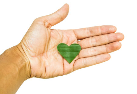 Banana leaf heart sign in the hand.の写真素材