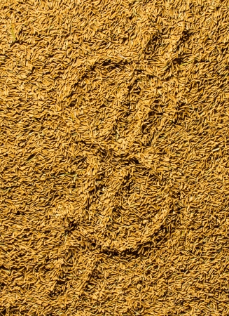   sign on paddy background の写真素材