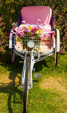 White tricycle decorated with flower in the garden.の写真素材