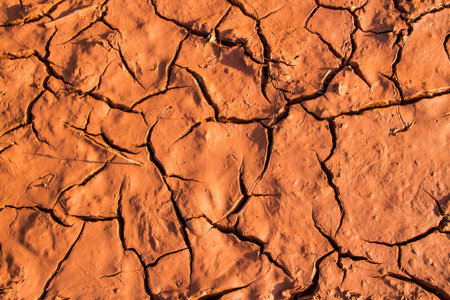 Dry earthen ground close up background.