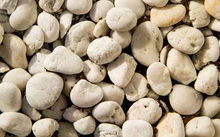 White rock close up background.の写真素材