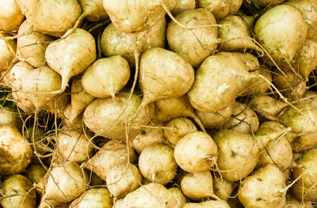 Yam bean close up background.の写真素材