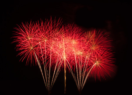 Beautiful firework show for celebration.の写真素材