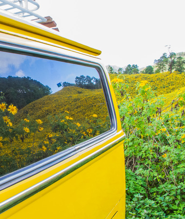 Yellow van parking at Mexican sunflower field.の写真素材