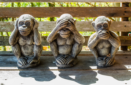 Three monkeys with Dharma puzzle.の写真素材