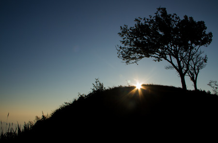 Silhouette of tree on the mountain when sunrise.の写真素材