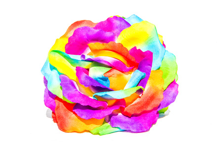 Rainbow rose on white background.の写真素材