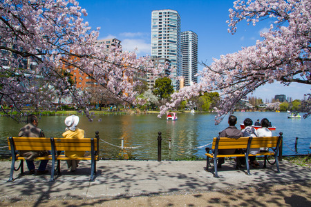 TOKYO,JAPAN-APRIL 2: People come to join  Hanami festival at Ueno park in Tokyo,Japan on April 2,2015.Hanami festival will start when cherry blossom full bloom.のeditorial素材