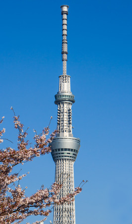 TOKYO,JAPAN-APRIL 2:View of Tokyo sky tree with cherry blossom  in  Tokyo,Japan  on April 2,2015.Toky sky tree is the tallest building in Japan.のeditorial素材